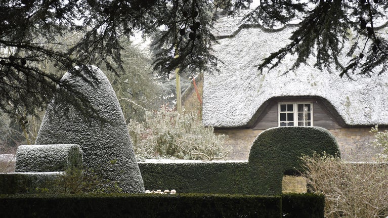 A thatched cottage with a dusting of snow, hedges and topiary in the foreground